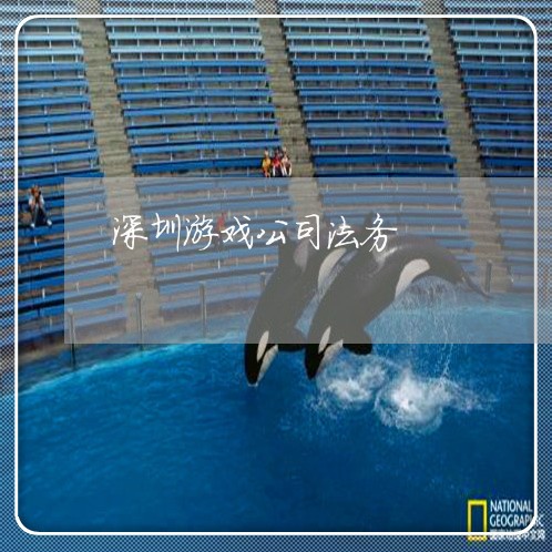 深圳游戏公司法务 深圳游戏公司法务