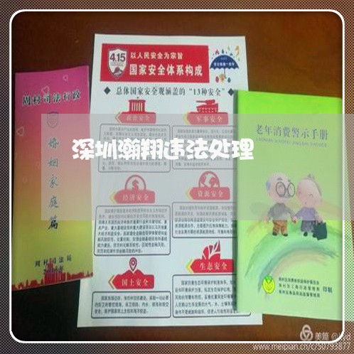 深圳瀚翔违法处理