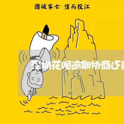 深圳花呗逾期协商还款技巧/2023042411824