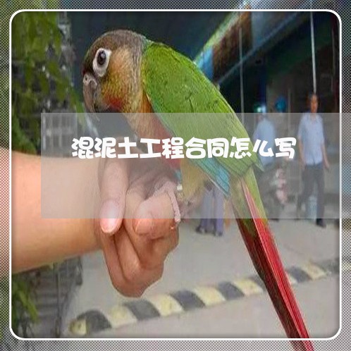 混泥土工程合同怎么写/2023041142615
