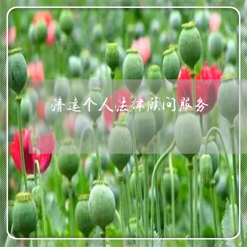 清远个人法律顾问服务/2023061759271