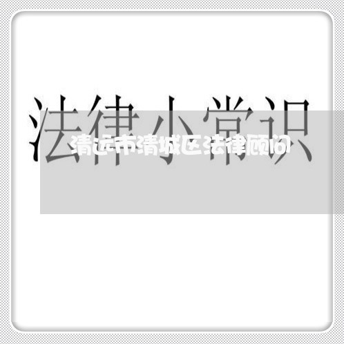 清远市清城区法律顾问/2023061830694