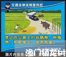 渔门镇龙树村法律顾问/2023061806160