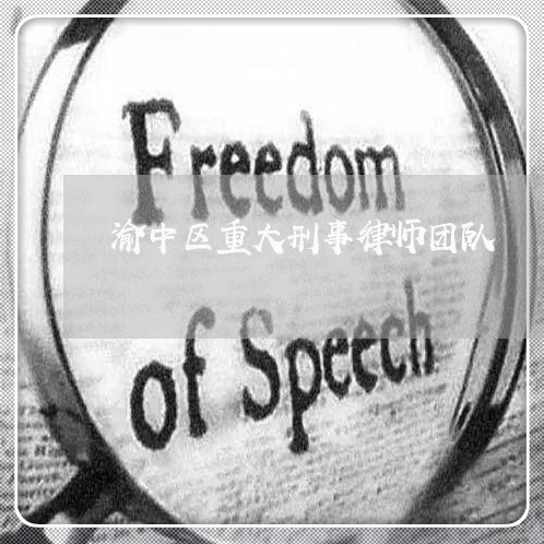 渝中区重大刑事律师团队