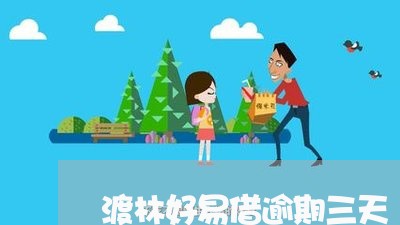 渡林好易借逾期三天