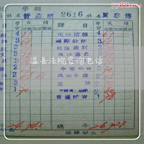 温县法院咨询电话