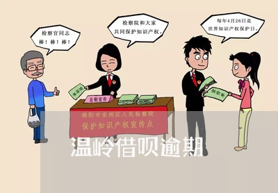 温岭借呗逾期/2023030194060