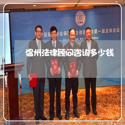 温州法律顾问咨询多少钱/2023061948370