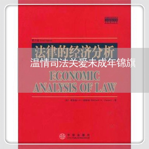 温情司法关爱未成年锦旗 温情司法关爱未成年锦旗