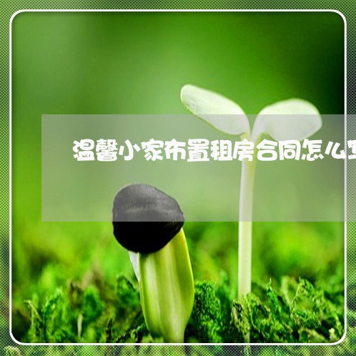 温馨小家布置租房合同怎么写/2023041149170