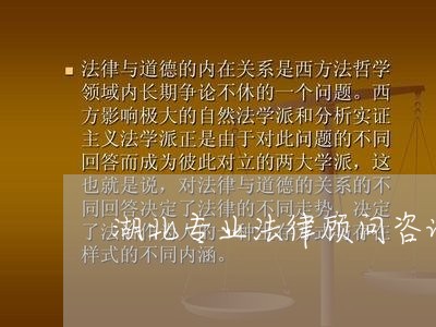 湖北专业法律顾问咨询免费/2023061783512