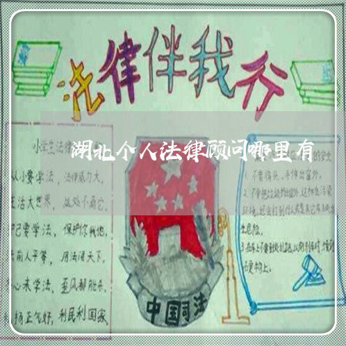 湖北个人法律顾问哪里有/2023061725058