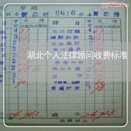 湖北个人法律顾问收费标准/2023061838402