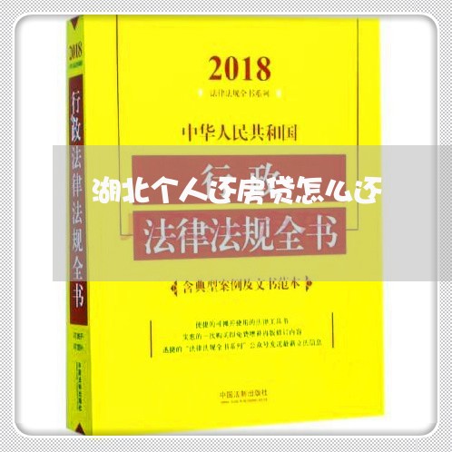 湖北个人还房贷怎么还/2023041641570