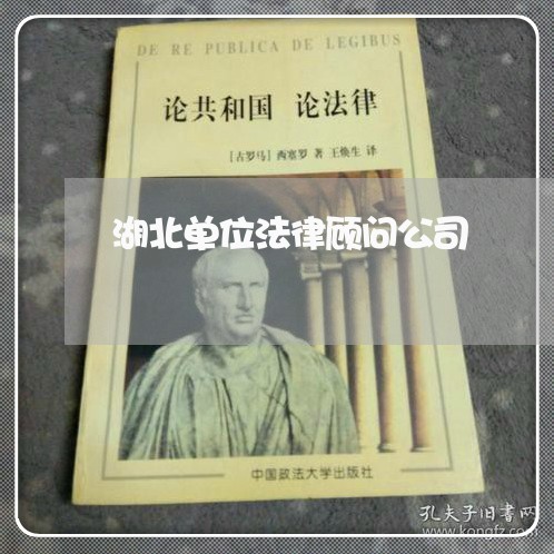 湖北单位法律顾问公司 湖北单位法律顾问公司