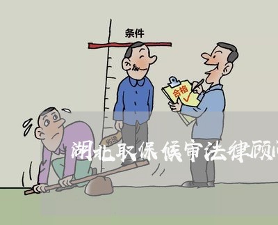 湖北取保候审法律顾问/2023061857260