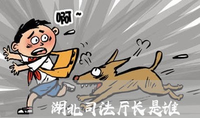 湖北司法厅长是谁