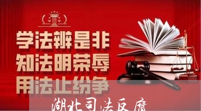 湖北司法反腐 湖北司法反腐