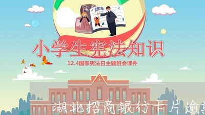 湖北招商银行卡片逾期会怎么样/2023062920169