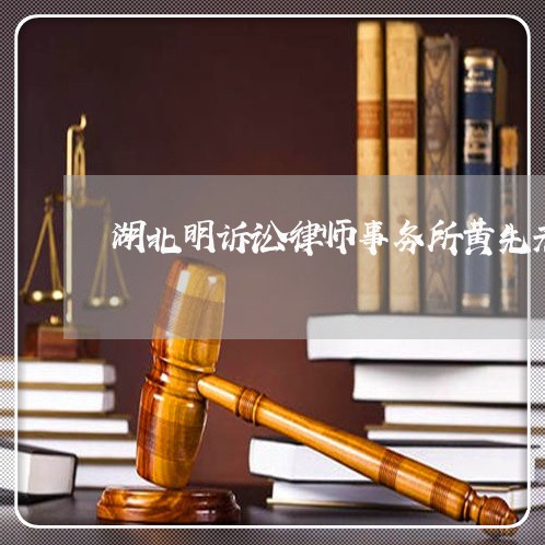 湖北明诉讼律师事务所黄先元 湖北明诉讼律师事务所黄先元