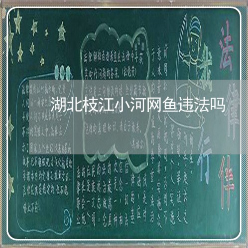 湖北枝江小河网鱼违法吗