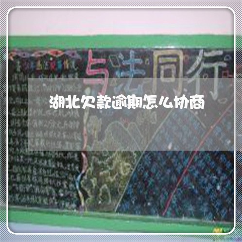 湖北欠款逾期怎么协商 湖北欠款逾期怎么协商