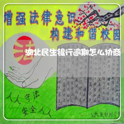 湖北民生银行逾期怎么协商/2023042523816 湖北民生银行逾期怎么协商/2023042523816