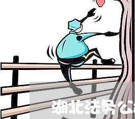 湖北法务公司受政府支持吗 湖北法务公司受政府支持吗