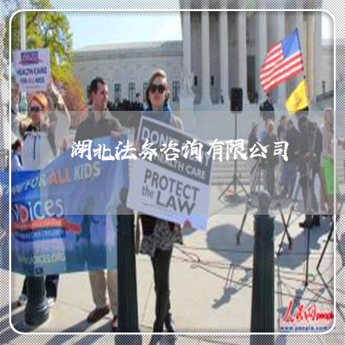 湖北法务咨询有限公司