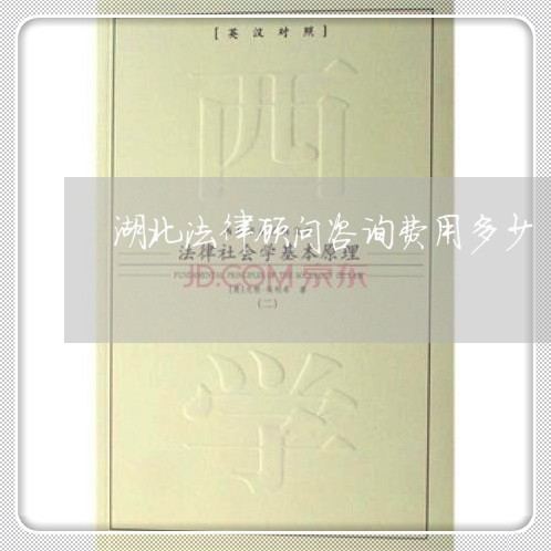 湖北法律顾问咨询费用多少/2023061818283