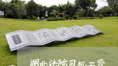 湖北法院司机工资