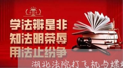 湖北法院打飞机与嫖娼卖淫罪 湖北法院打飞机与嫖娼卖淫罪