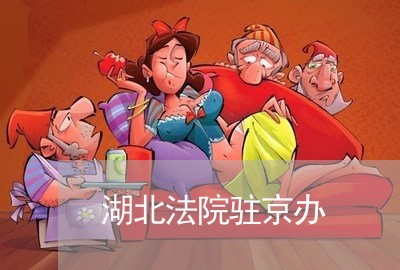 湖北法院驻京办