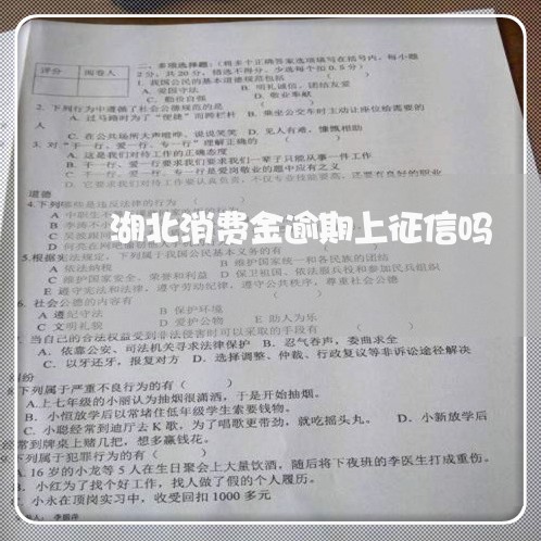 湖北消费金逾期上征信吗 湖北消费金逾期上征信吗