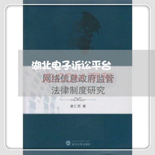 湖北电子诉讼平台