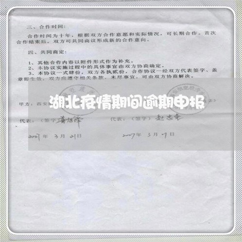 湖北疫情期间逾期申报 湖北疫情期间逾期申报