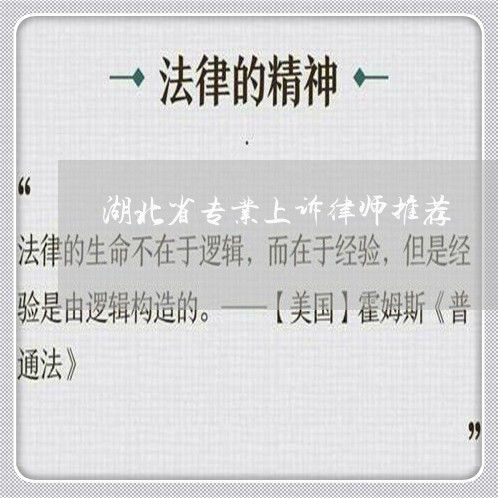 湖北省专业上诉律师推荐