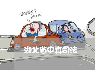 湖北省中真司法 湖北省中真司法