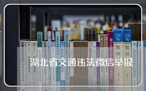 湖北省交通违法微信举报 湖北省交通违法微信举报