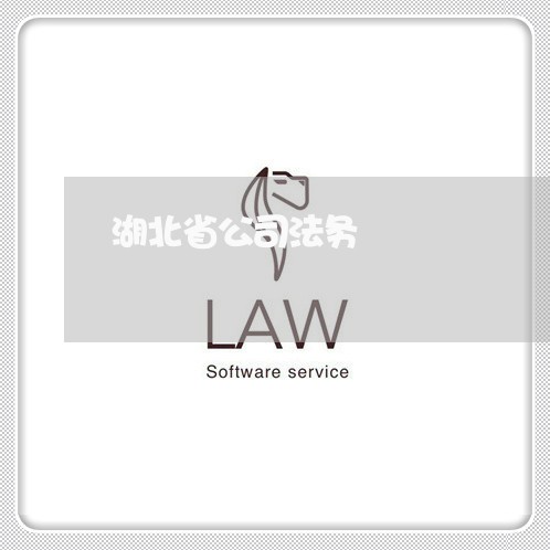 湖北省公司法务 湖北省公司法务