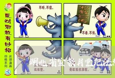 湖北省宣教月党纪法规知识试卷