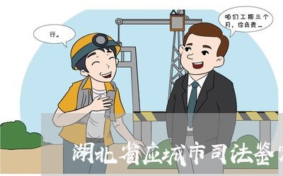 湖北省应城市司法鉴定中心