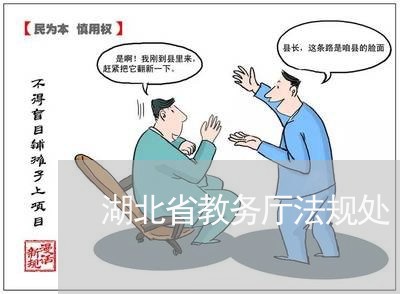 湖北省教务厅法规处