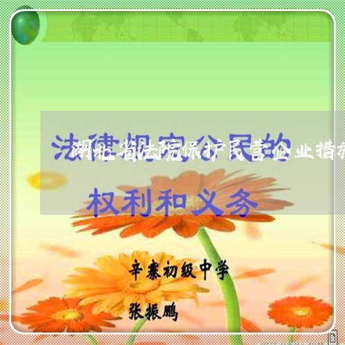 湖北省法院保护民营企业措施
