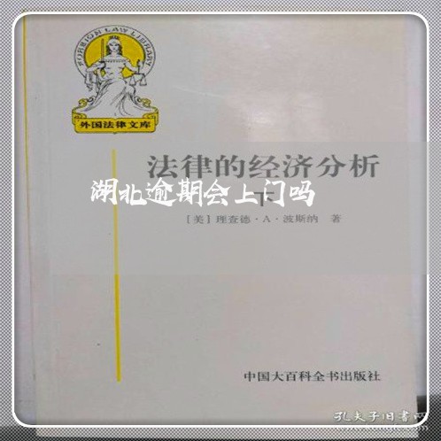 湖北逾期会上门吗