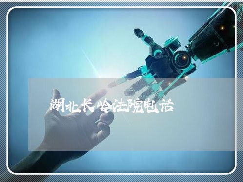 湖北长岭法院电话