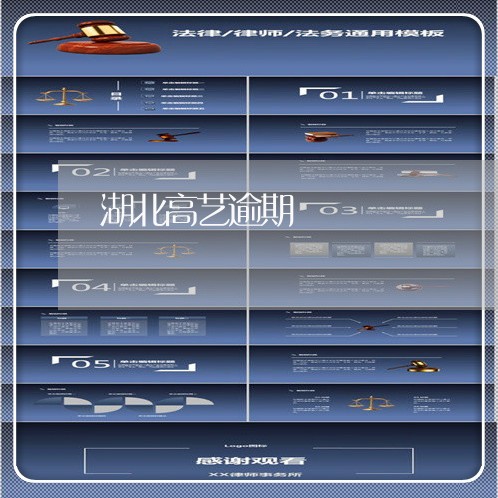 湖北高艺逾期