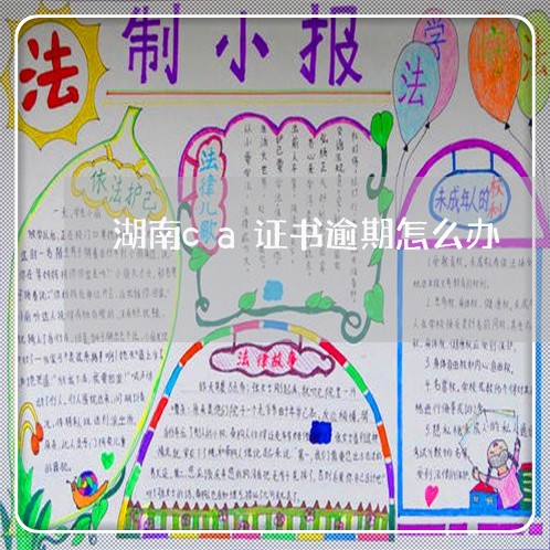湖南ca证书逾期怎么办
