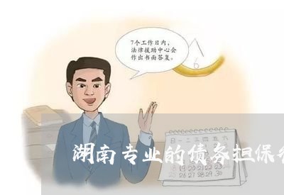 湖南专业的债务担保律师咨询