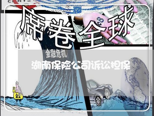 湖南保险公司诉讼担保 湖南保险公司诉讼担保